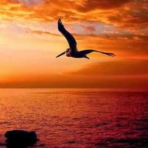 Meet your Posher, West side